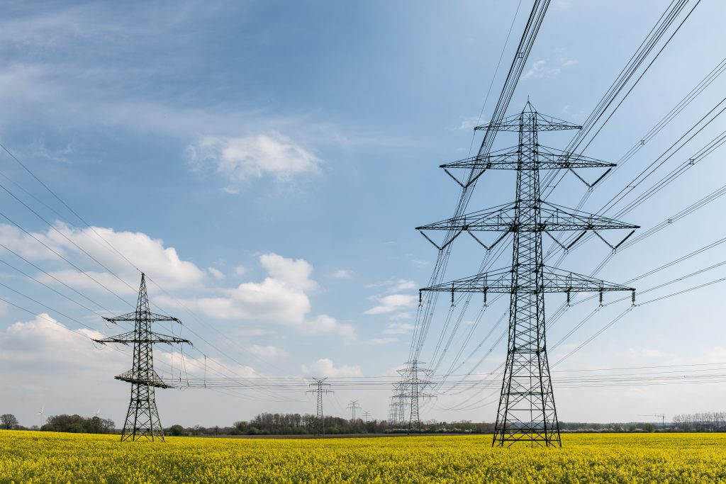 Hoogspanningsmasten en elektriciteitskabels boven een geel bloemenveld.