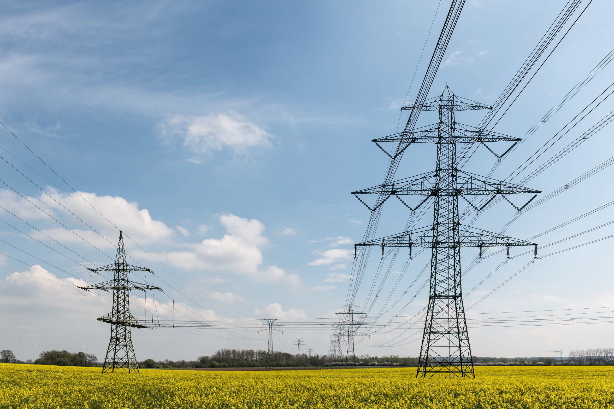 Hoogspanningsmasten en elektriciteitskabels boven een geel bloemenveld.